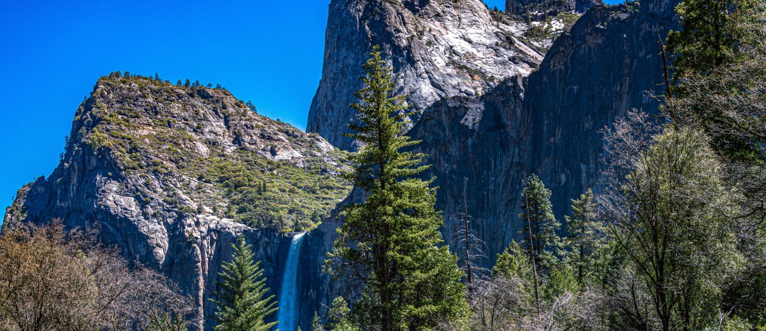 Visit The Iconic Attractions In Mariposa, California